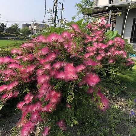 Early Summer Luodong Exterior foto