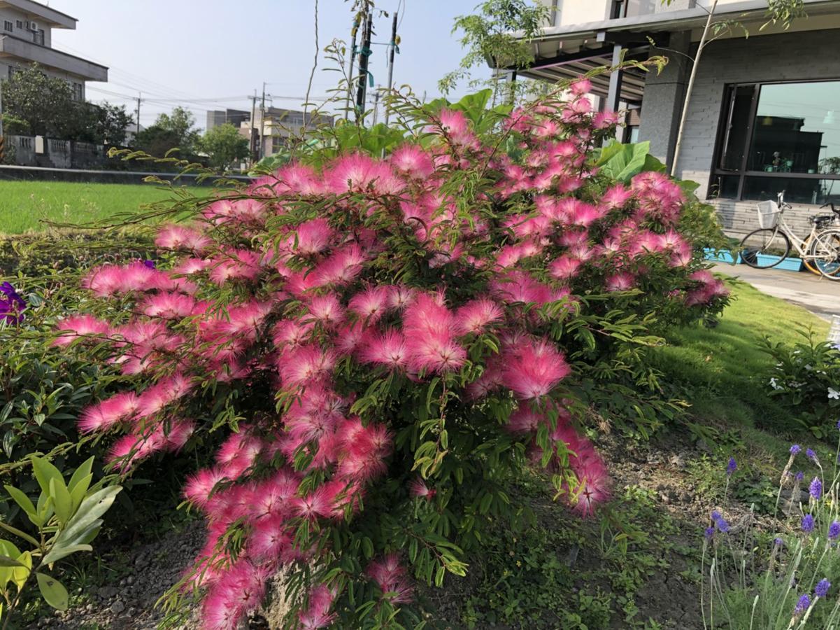 Early Summer Luodong Exterior foto